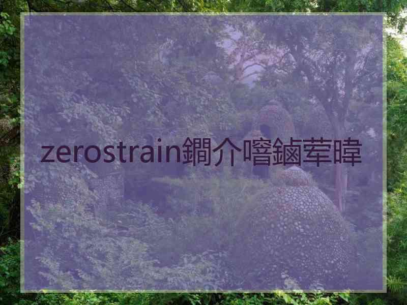 zerostrain鐧介噾鏀荤暐