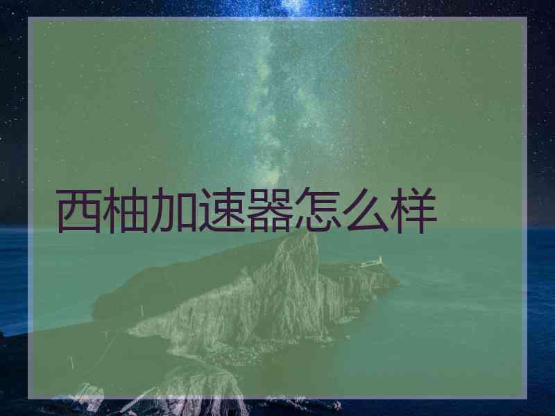 西柚加速器怎么样