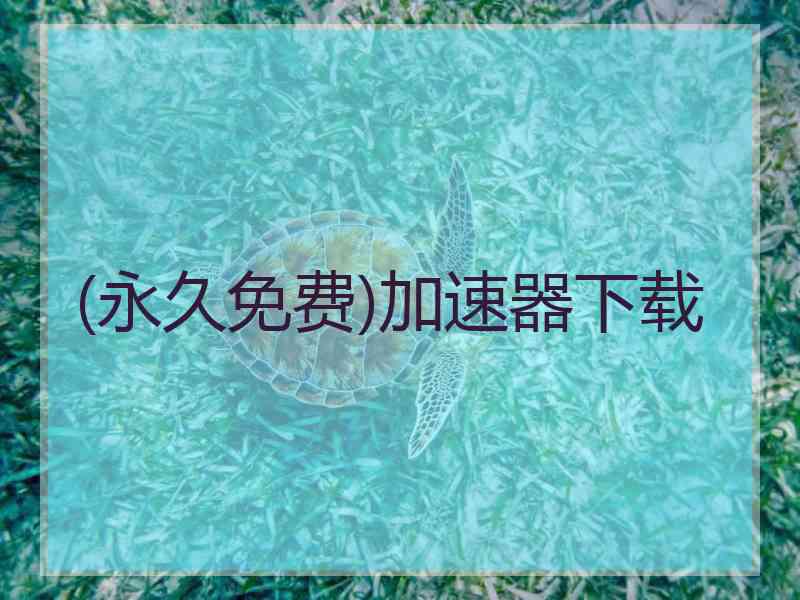 (永久免费)加速器下载