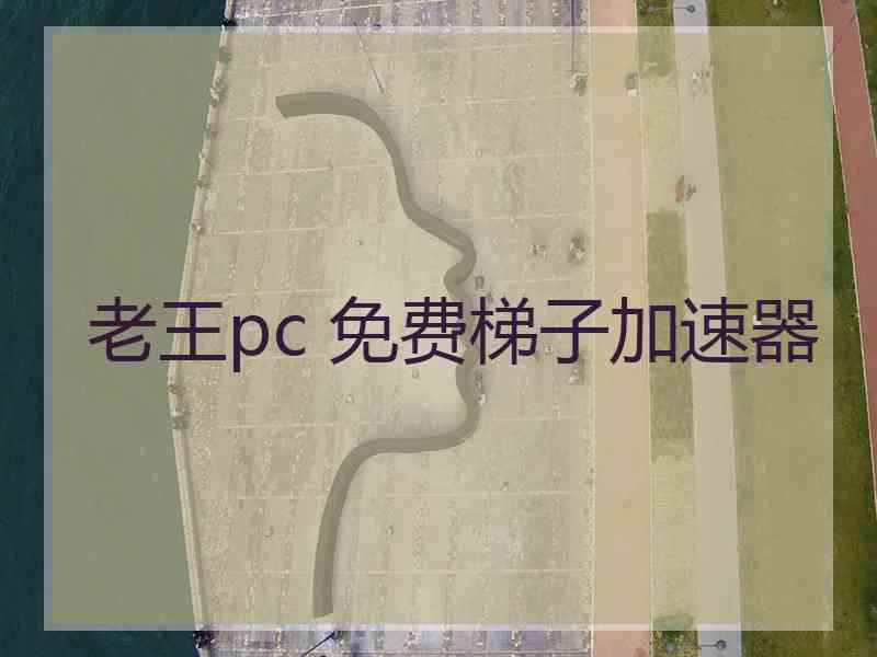 老王pc 免费梯子加速器