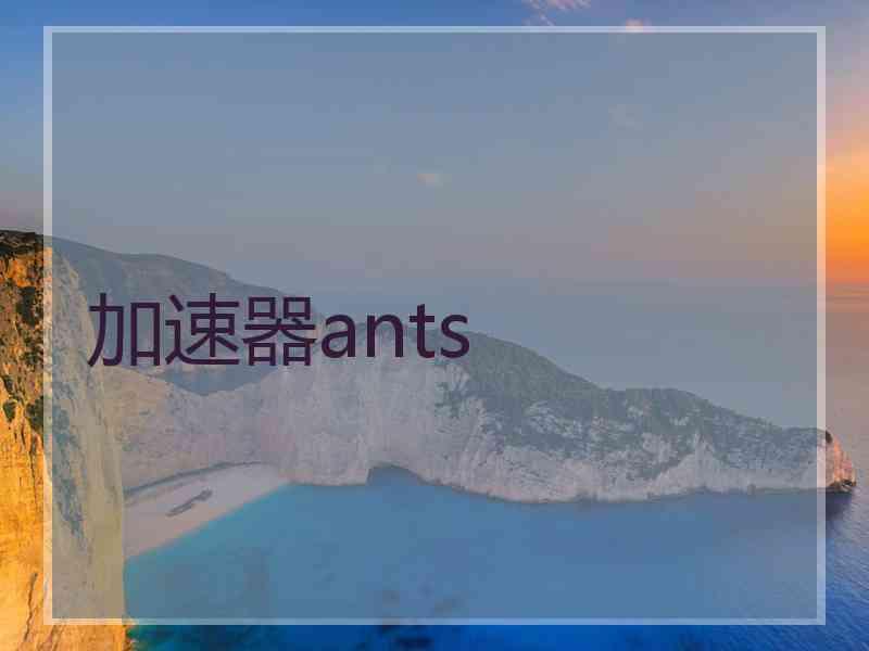 加速器ants