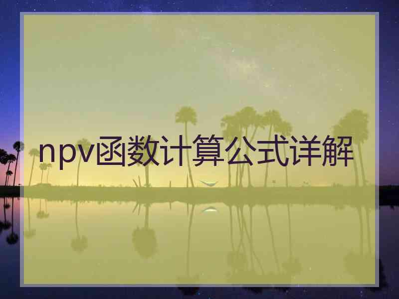 npv函数计算公式详解