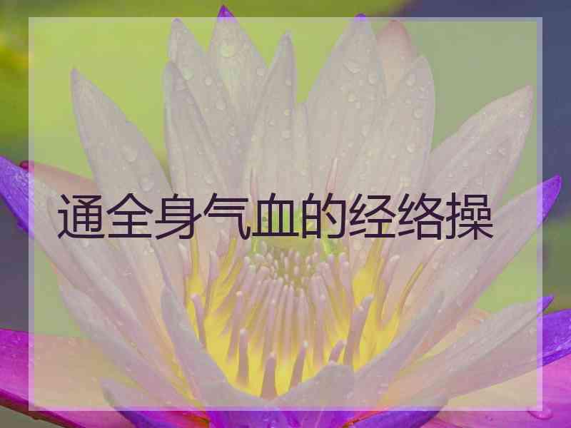 通全身气血的经络操