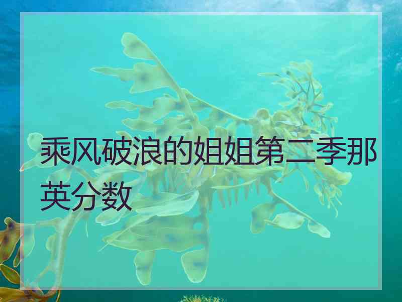 乘风破浪的姐姐第二季那英分数