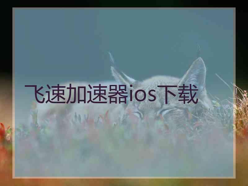 飞速加速器ios下载