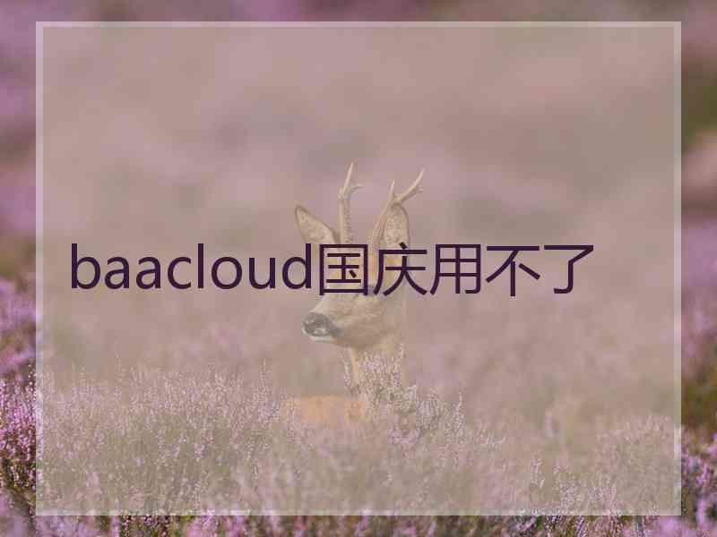 baacloud国庆用不了