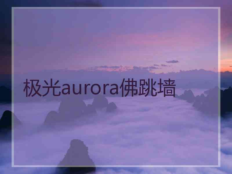 极光aurora佛跳墙