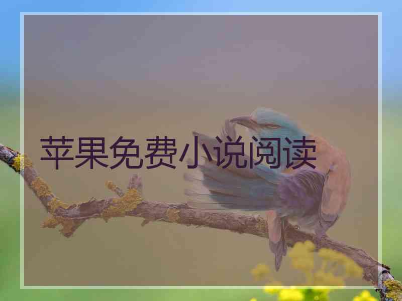 苹果免费小说阅读