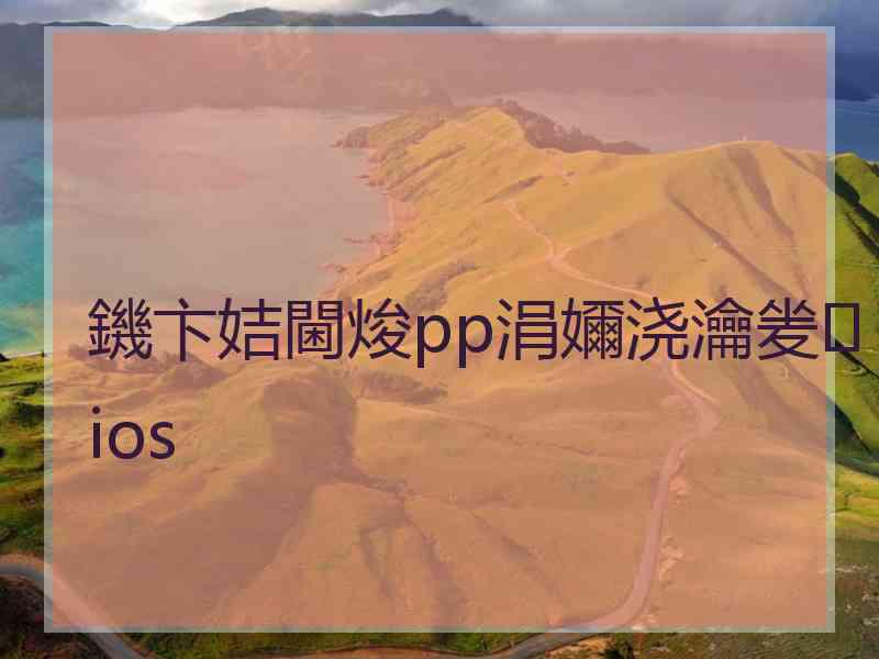 鐖卞姞閫焌pp涓嬭浇瀹夎ios