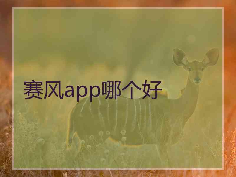 赛风app哪个好