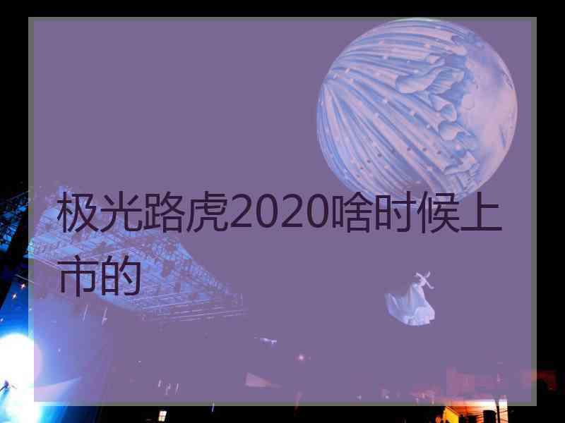 极光路虎2020啥时候上市的