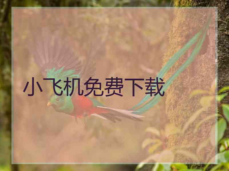 小飞机免费下载