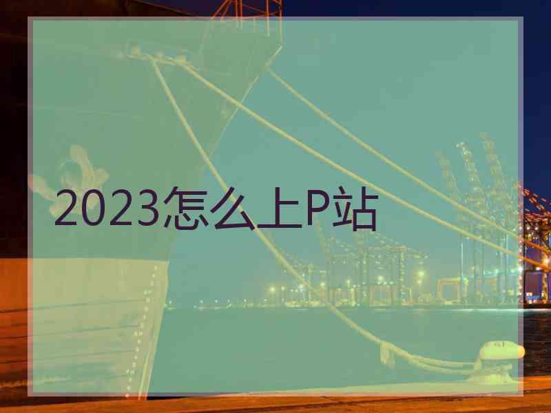 2023怎么上P站