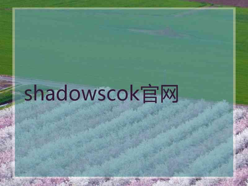 shadowscok官网