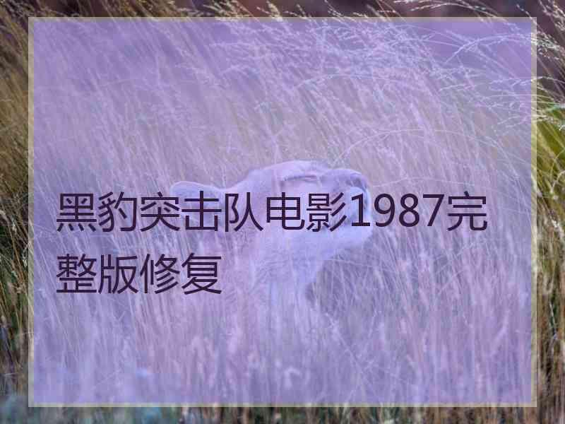 黑豹突击队电影1987完整版修复