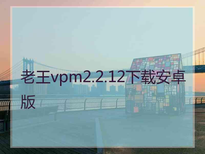 老王vpm2.2.12下载安卓版