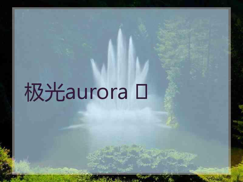 极光aurora ✨