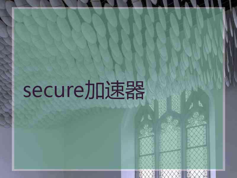 secure加速器