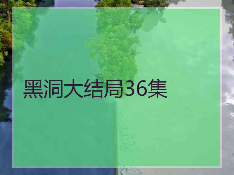 黑洞大结局36集