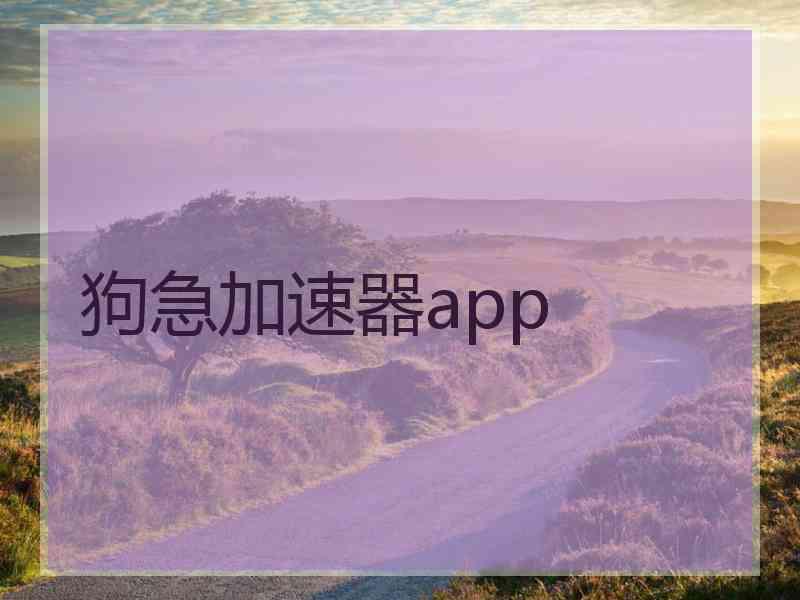 狗急加速器app