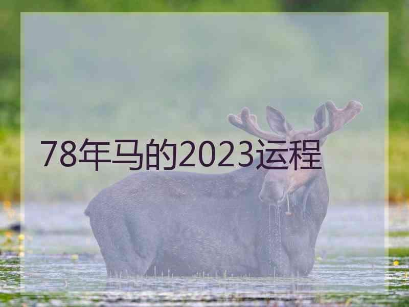 78年马的2023运程