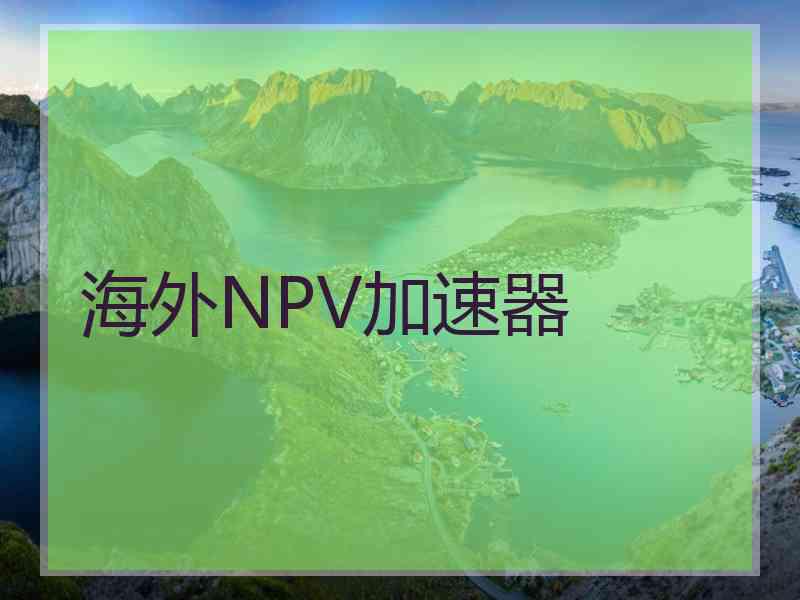 海外NPV加速器