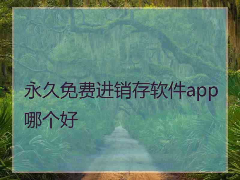 永久免费进销存软件app哪个好