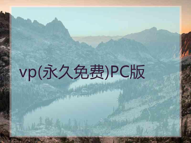 vp(永久免费)PC版