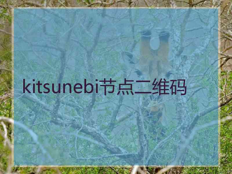 kitsunebi节点二维码