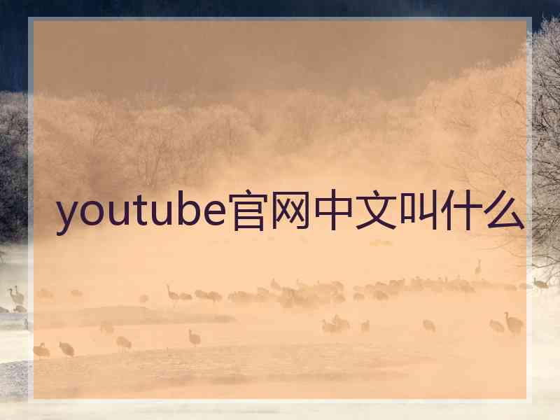 youtube官网中文叫什么