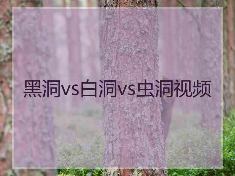 黑洞vs白洞vs虫洞视频