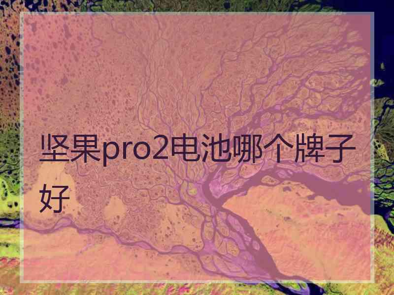 坚果pro2电池哪个牌子好