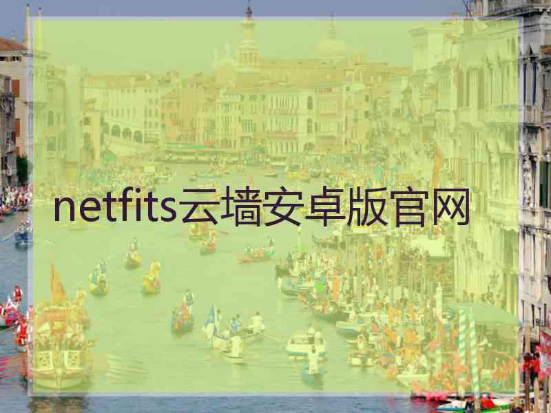 netfits云墙安卓版官网