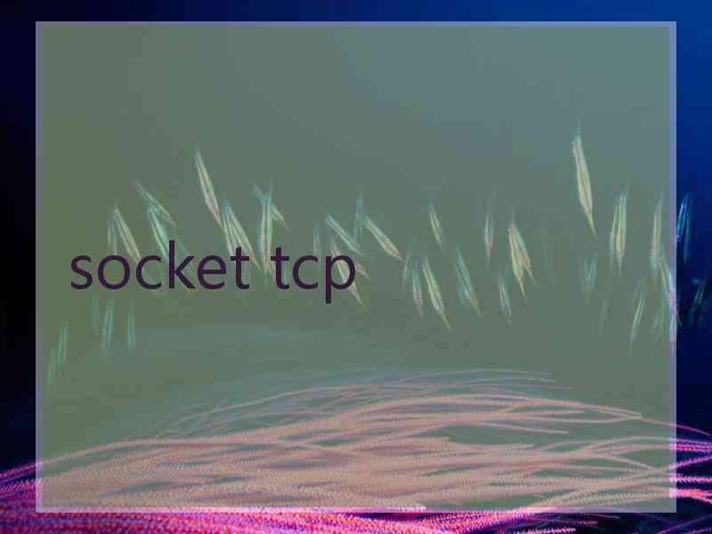 socket tcp