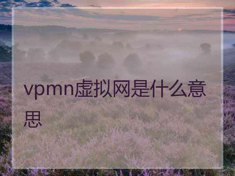 vpmn虚拟网是什么意思