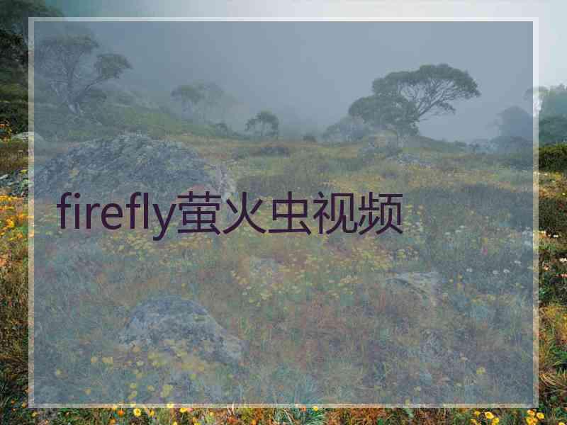 firefly萤火虫视频