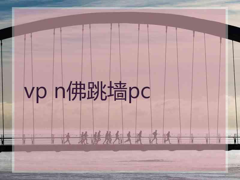 vp n佛跳墙pc