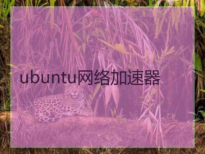 ubuntu网络加速器