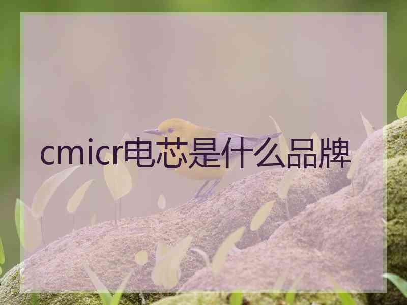 cmicr电芯是什么品牌