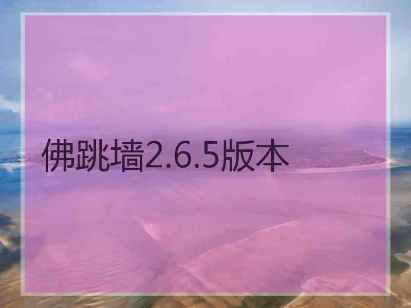 佛跳墙2.6.5版本