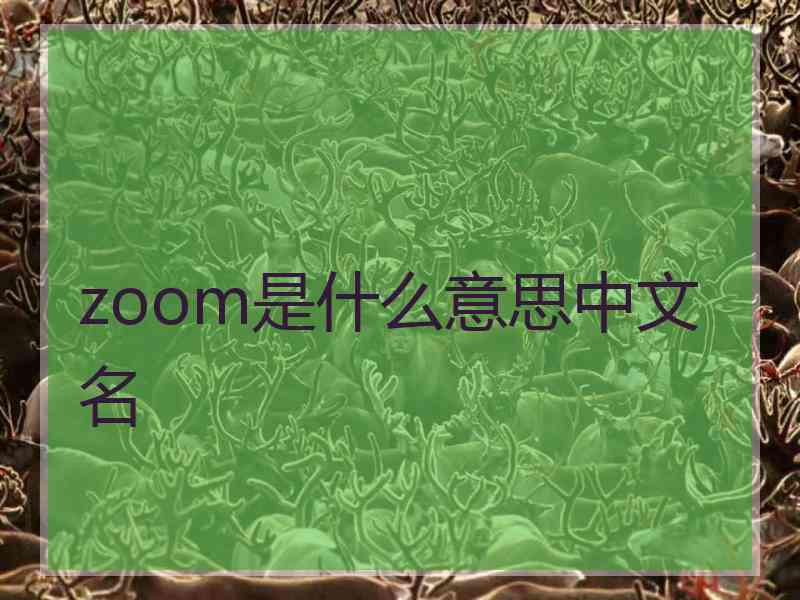 zoom是什么意思中文名