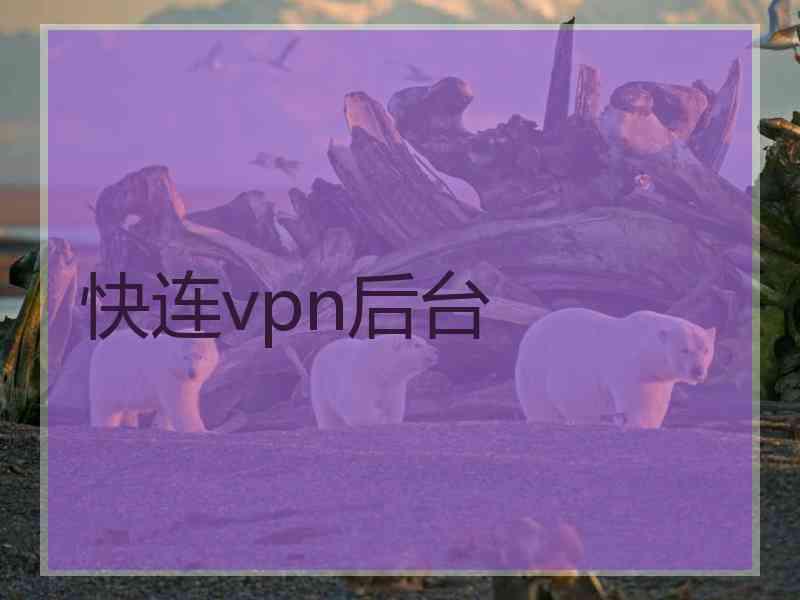 快连vpn后台