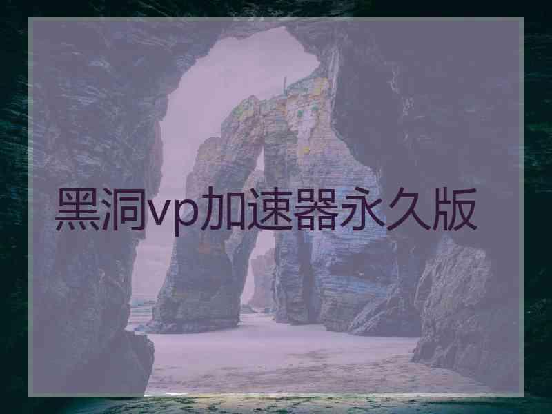 黑洞vp加速器永久版