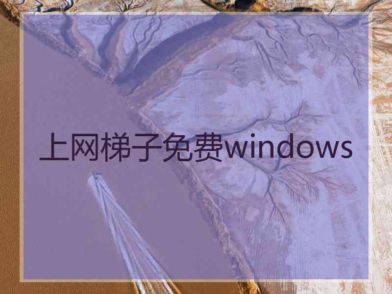 上网梯子免费windows