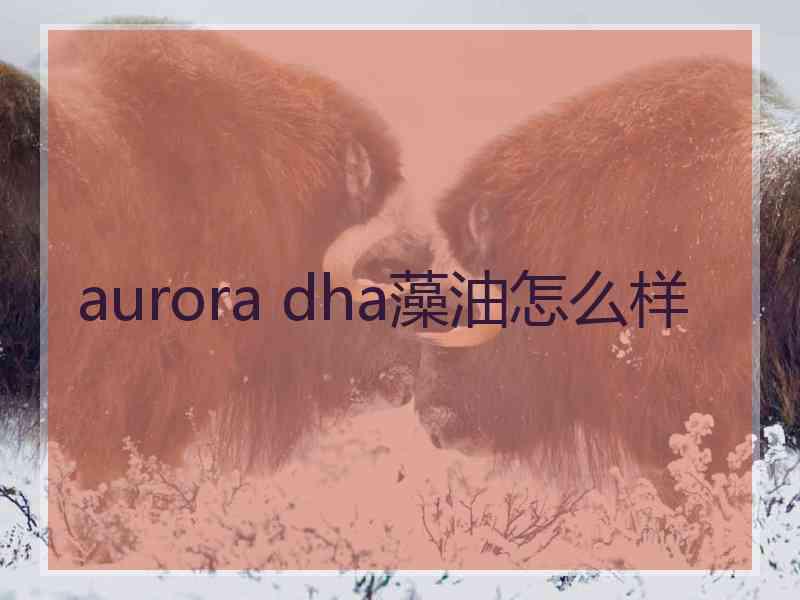 aurora dha藻油怎么样