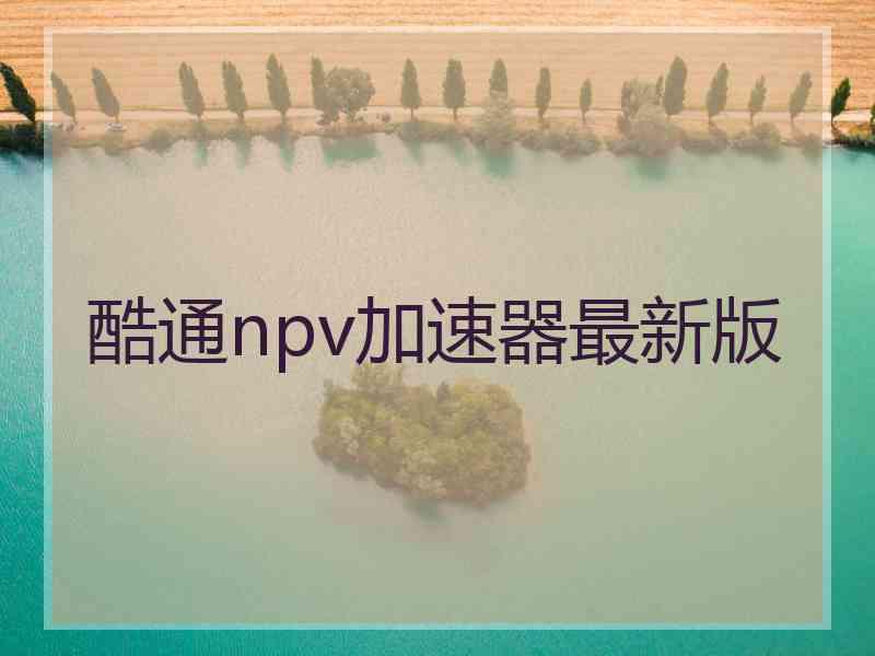 酷通npv加速器最新版