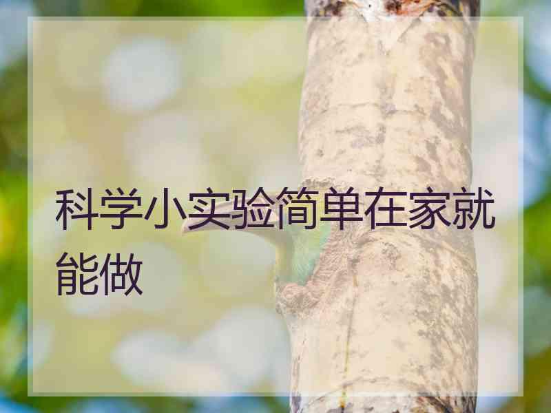 科学小实验简单在家就能做