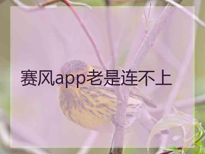 赛风app老是连不上