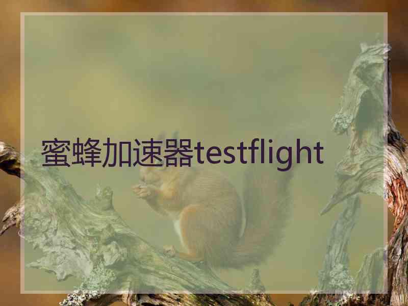 蜜蜂加速器testflight