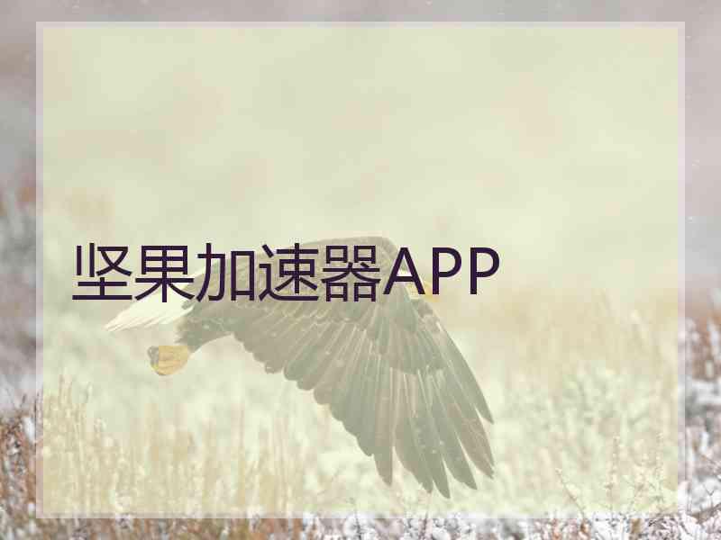 坚果加速器APP